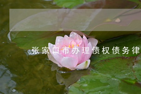 张家口市办理债权债务律师哪个好