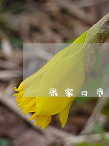张家口市办理债权债务律师电话 张家口市办理债权债务律师电话