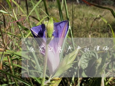 张家口房产产权律师