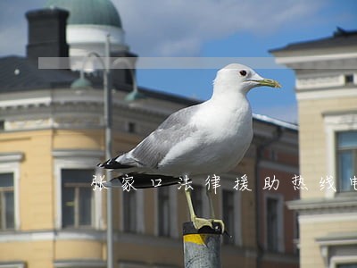 张家口法律援助热线电话