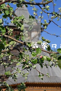 张家口法院姜建龙 张家口法院姜建龙