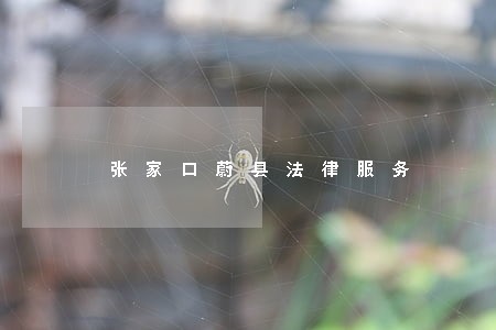 张家口蔚县法律服务 张家口蔚县法律服务