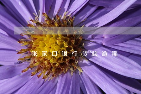 张家口银行贷款逾期