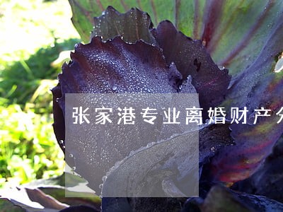 张家港专业离婚财产分配律师 张家港专业离婚财产分配律师