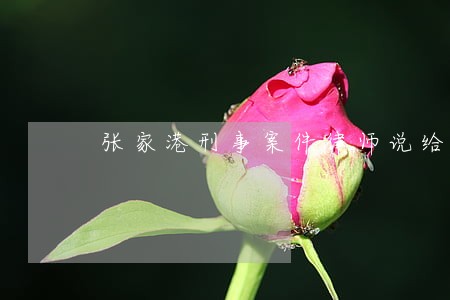 张家港刑事案件律师说给你 张家港刑事案件律师说给你
