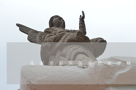 张家港厉害抚养费案律师哪个好 张家港厉害抚养费案律师哪个好