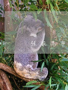 张家港市法律工作者协会