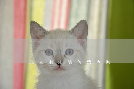 张家港法院传票查询 张家港法院传票查询