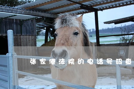 张家港法院的电话号码查询