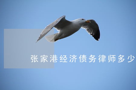 张家港经济债务律师多少钱 张家港经济债务律师多少钱