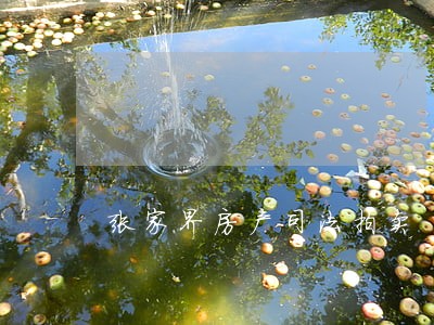 张家界房产司法拍卖 张家界房产司法拍卖