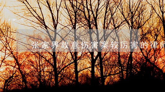 张家界故意伤害案较厉害的律师 张家界故意伤害案较厉害的律师