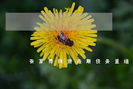 张家界网贷逾期债务重组怎么协商 张家界网贷逾期债务重组怎么协商