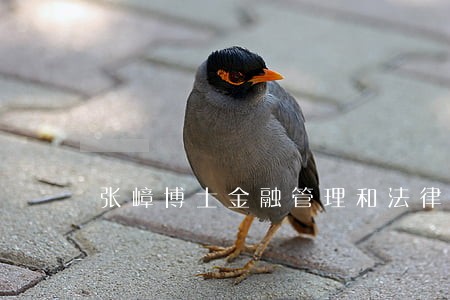 张嶂博士金融管理和法律专家 张嶂博士金融管理和法律专家