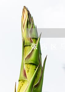 张店区马尚法院高忠 张店区马尚法院高忠