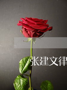 张建文律师解答了张律师您好