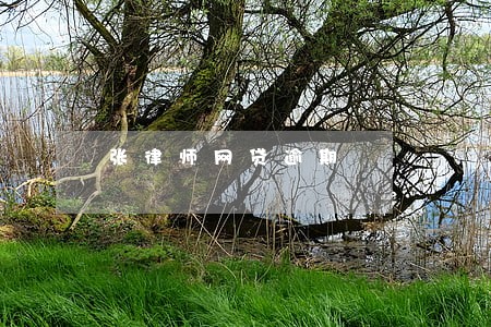 张律师网贷逾期 张律师网贷逾期