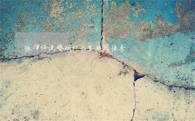 张律师说婚姻什么是共同债务 张律师说婚姻什么是共同债务