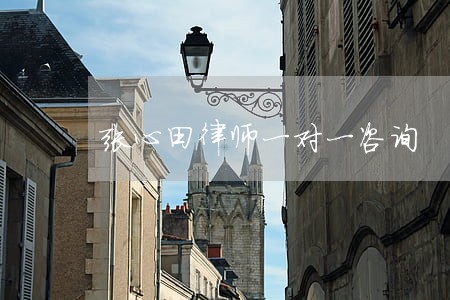 张心田律师一对一咨询 张心田律师一对一咨询