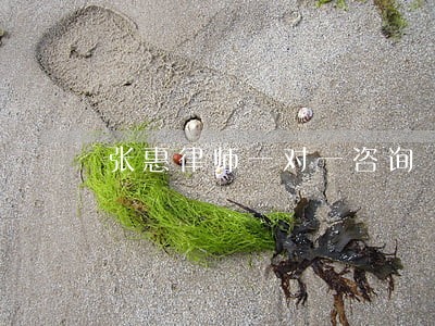 张惠律师一对一咨询 张惠律师一对一咨询