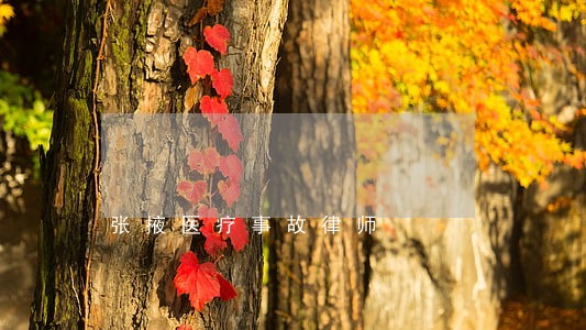 张掖医疗事故律师 张掖医疗事故律师