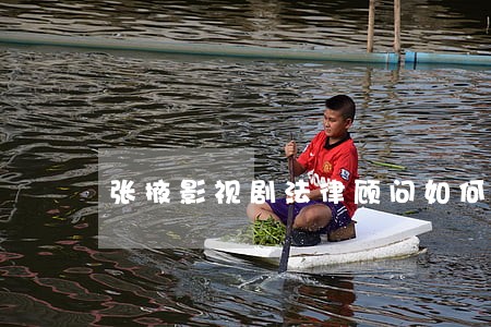 张掖影视剧法律顾问如何收费 张掖影视剧法律顾问如何收费