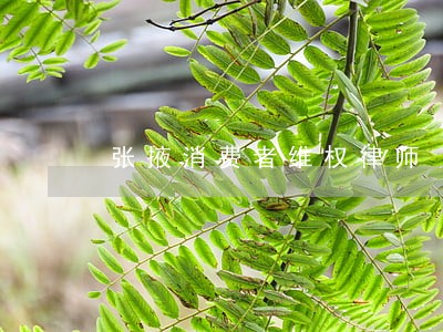 张掖消费者维权律师 张掖消费者维权律师