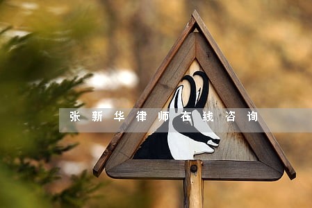 张新华律师在线咨询