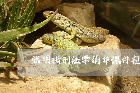 张明楷刑法学清华课件视频 张明楷刑法学清华课件视频