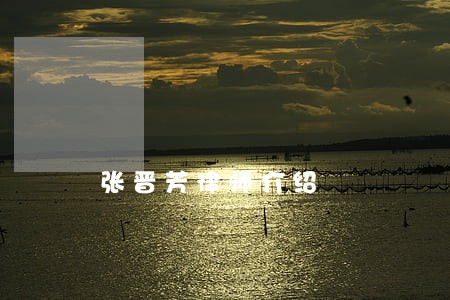 张晋芳律师介绍
