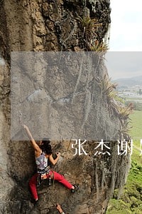 张杰谢娜怀了第三个孩子违法了 张杰谢娜怀了第三个孩子违法了