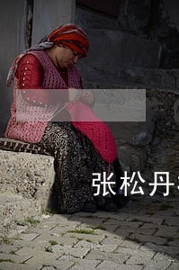张松丹林政法规论文 张松丹林政法规论文