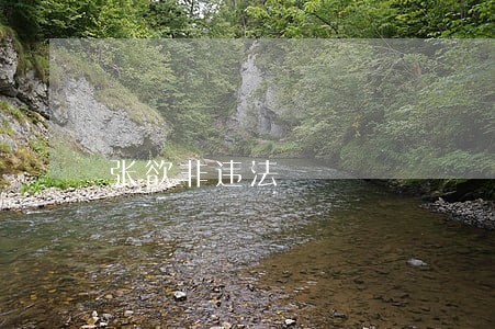 张欲非违法