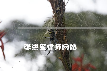 张洪奎律师网站 张洪奎律师网站