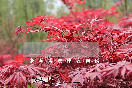 张海博法律咨询网 张海博法律咨询网