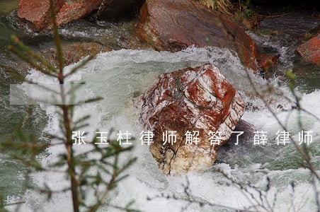 张玉柱律师解答了薛律师你好