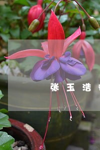 张玉浩律师解答了1997年入职 张玉浩律师解答了1997年入职