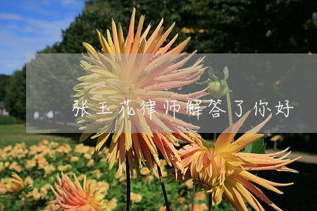张玉花律师解答了你好 张玉花律师解答了你好