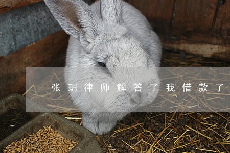 张玥律师解答了我借款了 张玥律师解答了我借款了