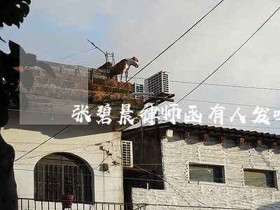 张碧晨律师函有人发吗 张碧晨律师函有人发吗