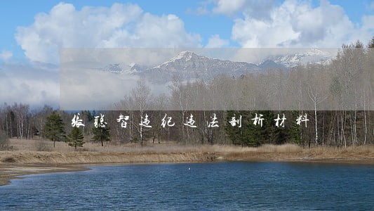 张聪智违纪违法剖析材料
