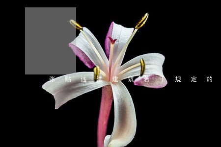 张贴违法建筑若干规定的宣传 张贴违法建筑若干规定的宣传