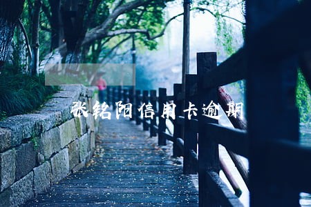 张铭阳信用卡逾期 张铭阳信用卡逾期