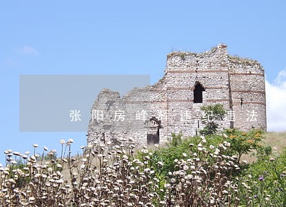 张阳房峰辉违纪违法 张阳房峰辉违纪违法