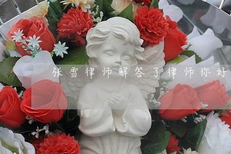 张雪律师解答了律师你好 张雪律师解答了律师你好