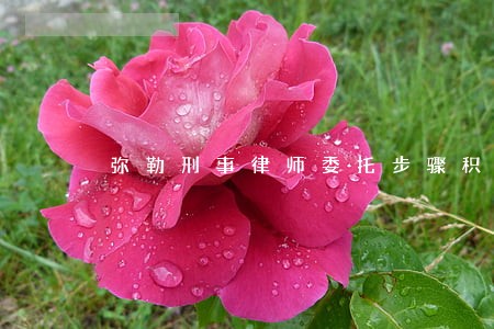 弥勒刑事律师委托步骤积极进取 弥勒刑事律师委托步骤积极进取