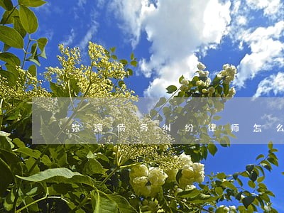弥渡债务纠纷律师怎么收费 弥渡债务纠纷律师怎么收费