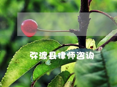 弥渡县律师咨询 弥渡县律师咨询