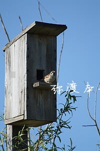 弥渡本地合同纠纷律师 弥渡本地合同纠纷律师