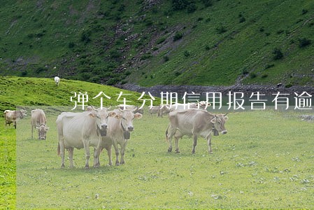 弹个车分期信用报告有逾期 弹个车分期信用报告有逾期
